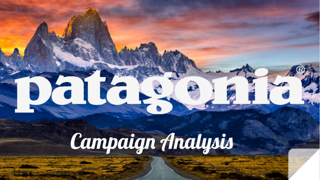 Campaign Analysis
